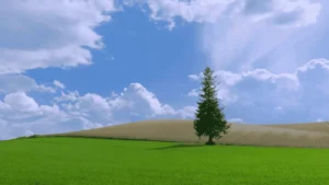 Office Nanairo Asahikawa Hokkaido PIC